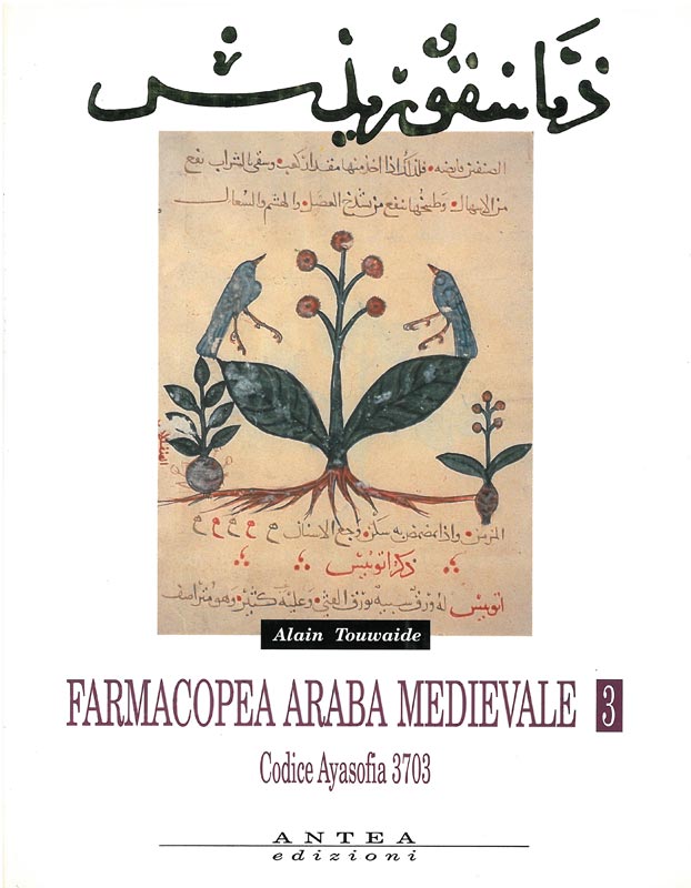 81 01 Farmacopea Araba Medievale