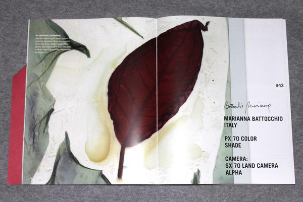 Herbarium Impossible Marianna Battocchio Polaroid07