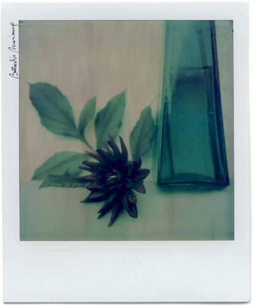 Polaroid Fade To Black Battocchio Marianna Dalia U1