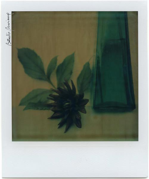 Polaroid Fade To Black Battocchio Marianna Dalia U3
