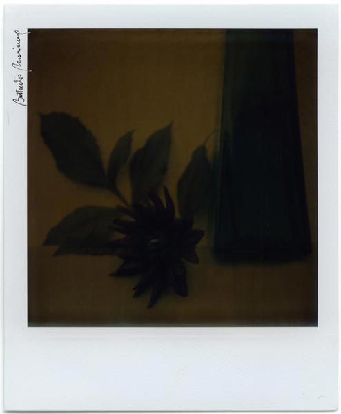 Polaroid Fade To Black Battocchio Marianna Dalia U5