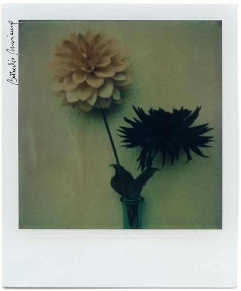 Polaroid Fade To Black Battocchio Marianna Dalie 11