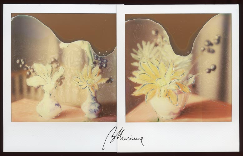 01Marianna Battocchio Polaroid Impossible fiori vasi cinesi