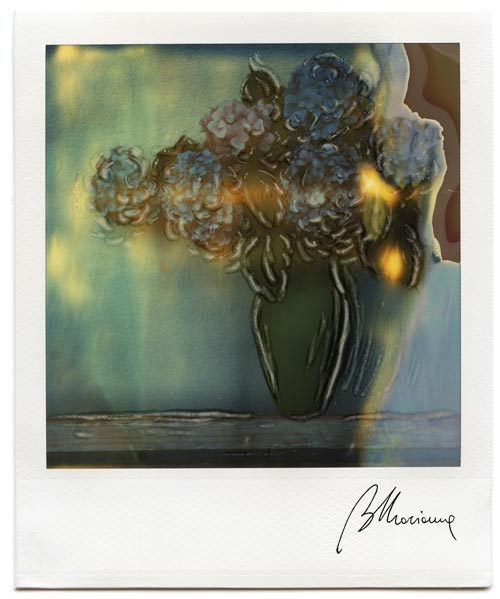 01Marianna Battocchio Polaroid sx70 fiori vaso ortensie