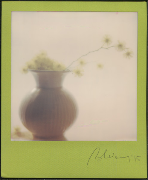 2015 Polaroid Impossible Frame colours Marianna Battocchio vasetto Mimosa