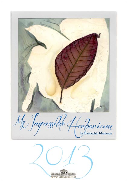 My Impossible Herbarium - 2013