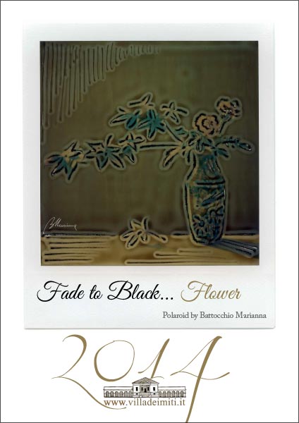 Fade to Black Flower - 2014